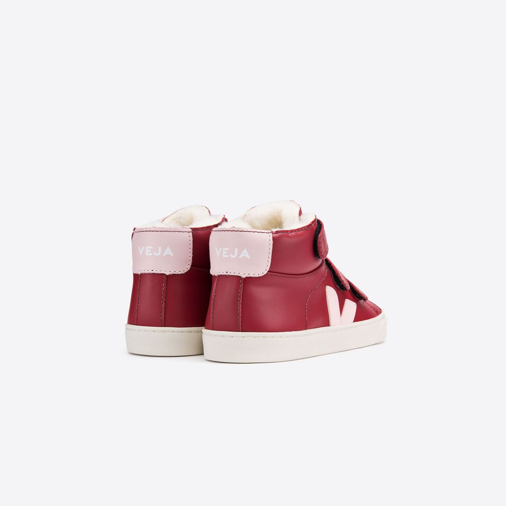 Veja 2024 esplar rouge